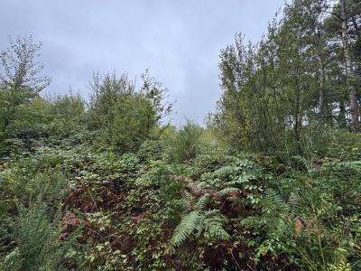 Acheter Terrain Escalans 65000 euros