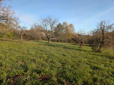 Acheter Terrain Cocumont