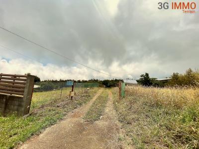 Annonce Vente Terrain Tampon 974