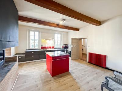 Acheter Maison 327 m2 Verdun-sur-garonne
