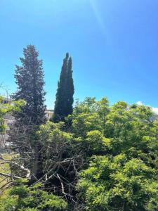 For sale Ciotat 3 rooms 68 m2 Bouches du Rhone (13600) photo 2