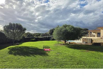 Annonce Vente 6 pices Maison Sainte-lucie-de-porto-vecchio 20