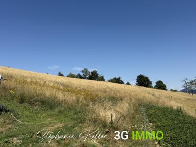 Acheter Maison Liepvre Haut rhin