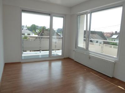 Annonce Location 3 pices Appartement Haguenau 67