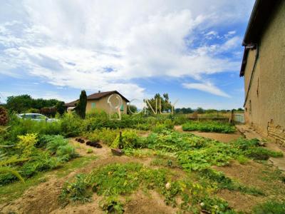 Annonce Vente Terrain Miserieux 01