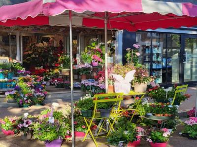 Annonce Vente 3 pices Maison  22