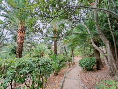 Acheter Appartement  Alpes Maritimes