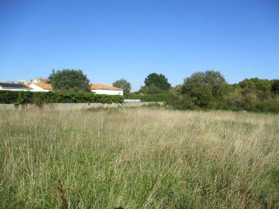 For sale 420 m2 Vendee (85470) photo 4