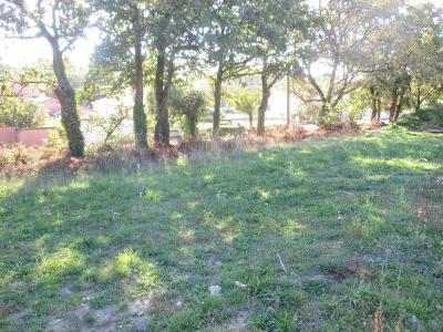 For sale VAIR? 727 m2 Vendee (85150) photo 1