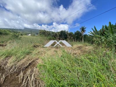 For sale Saint-joseph 334 m2 Reunion (97480) photo 1