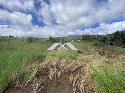 For sale Saint-joseph 334 m2 Reunion (97480) photo 3