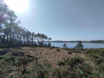 Annonce Vente Terrain Vannes 56