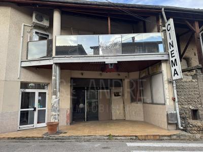 Annonce Vente Immeuble Arzay 38