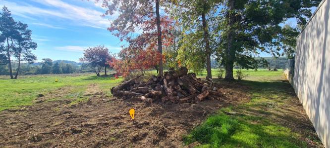 Acheter Terrain Vallet 78500 euros