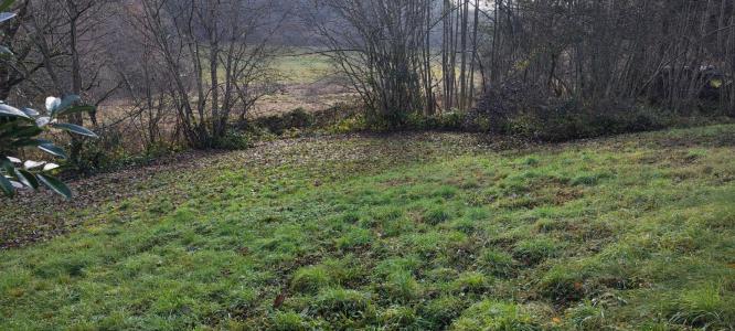 Annonce Vente Terrain Rougemont-le-chateau 90