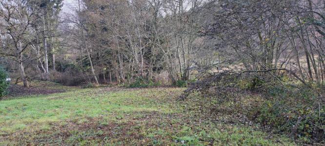 Acheter Terrain 1241 m2 Rougemont-le-chateau