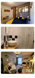 Annonce Location 2 pices Appartement Albi 81