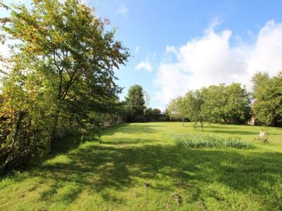 Acheter Prestige Tournus Saone et loire