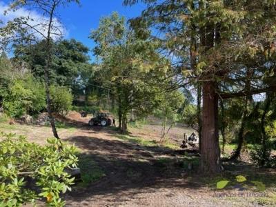 Annonce Location 4 pices Maison Affieux 19