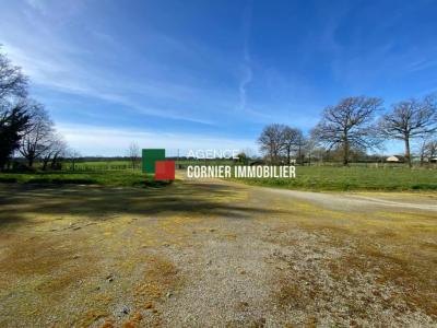 Annonce Vente 4 pices Maison Marpire 35