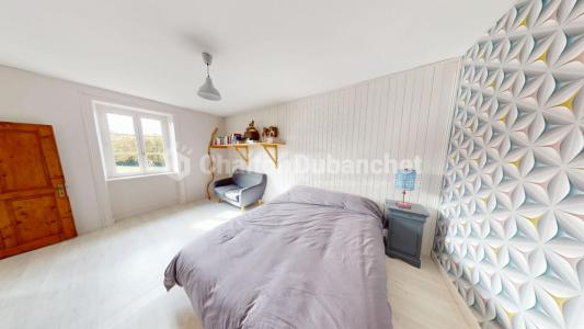 Acheter Prestige Sainte-agathe-en-donzy Loire