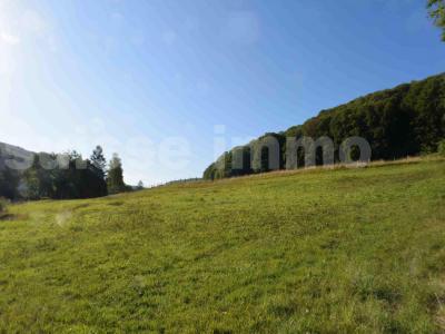 Annonce Vente Terrain Sancey-le-grand 25