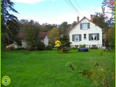 Annonce Vente 7 pices Maison Neuvy-sur-barangeon 18