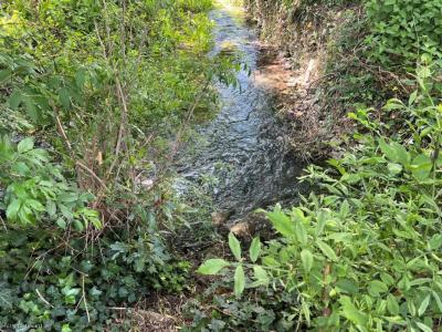 Acheter Maison Villefagnan Charente
