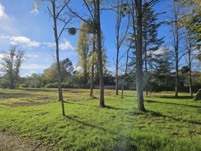 For sale Landiras 4 rooms 605 m2 Gironde (33720) photo 0