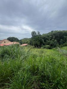 For sale Schoelcher 2152 m2 Martinique (97233) photo 0