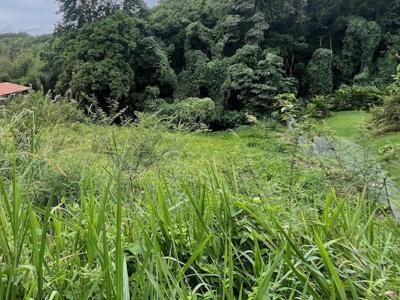 Annonce Vente Terrain Schoelcher 972