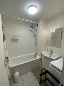 Louer Appartement Lille 560 euros