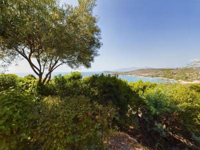 Acheter Maison Pietrosella Corse