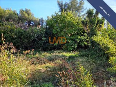 Annonce Vente Terrain Bandol 83