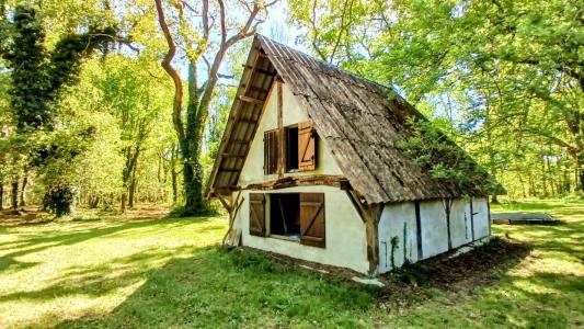 Acheter Gite 230 m2 Mont-de-marsan