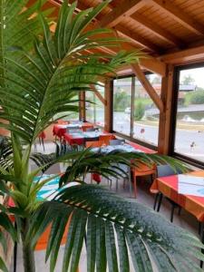 Acheter Maison Gorses Lot