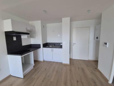 Annonce Location 2 pices Appartement Nancy 54