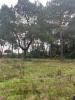 For sale Land Leognan  1000 m2