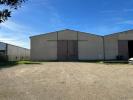 For rent Commerce Carbon-blanc  850 m2
