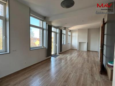 Annonce Vente 8 pices Appartement Halluin 59