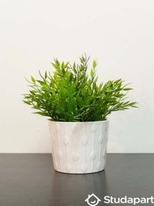 Louer Appartement Lille Nord