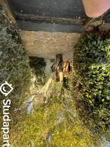 Louer Maison 21 m2 Reze