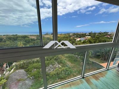 Acheter Immeuble Sainte-marie Reunion