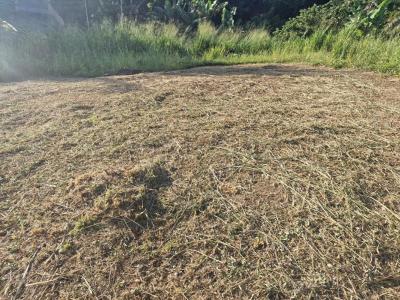 Annonce Vente Terrain Schoelcher 972