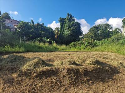 Acheter Terrain 517 m2 Schoelcher