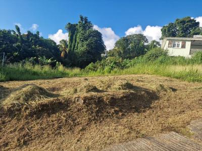 Acheter Terrain Schoelcher Martinique