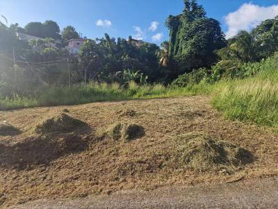 Acheter Terrain Schoelcher 139100 euros