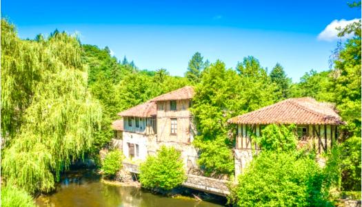 For sale Saint-leonard-de-noblat 850 m2 Haute vienne (87400) photo 3