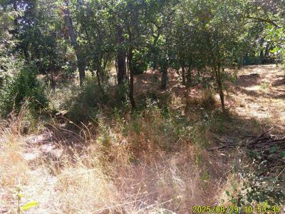 Acheter Terrain Mayons Var