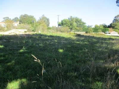 Acheter Terrain Vaire Vendee
